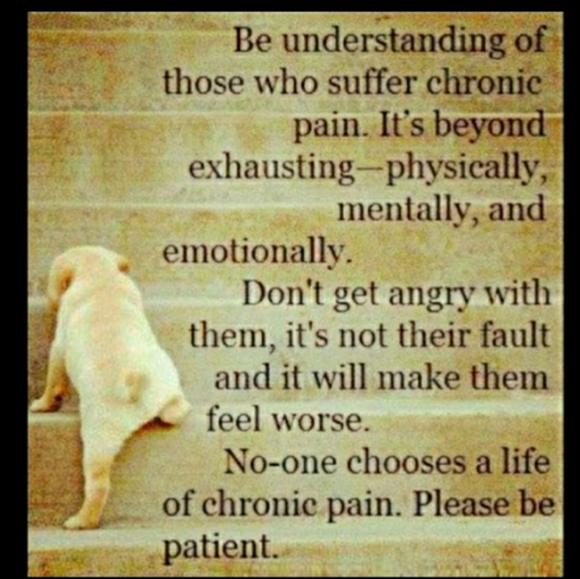 🌹 Sham CHAMBRAY QUILTED PILLOWCASE 21x27 AMAZING Pointed Details Navy & Red - Picture 4 of 16